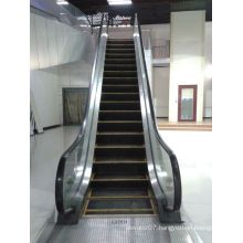 Cheap Stable Escalator